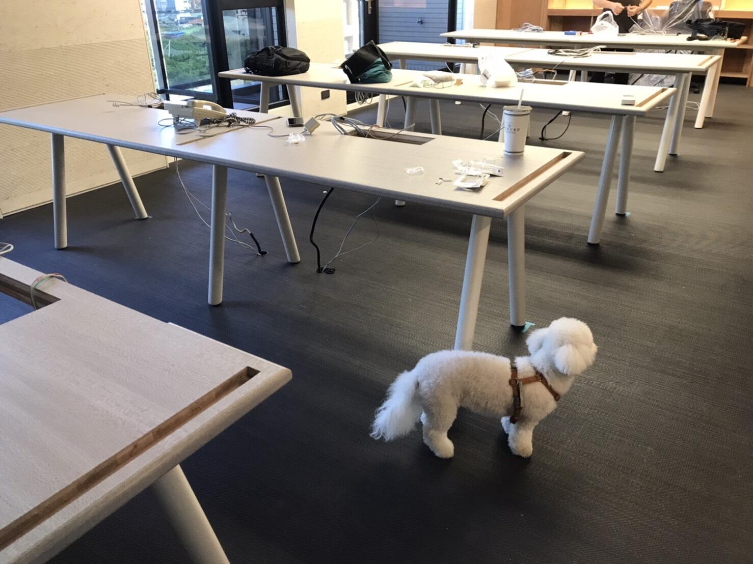 辦公室/旅館/建設公司