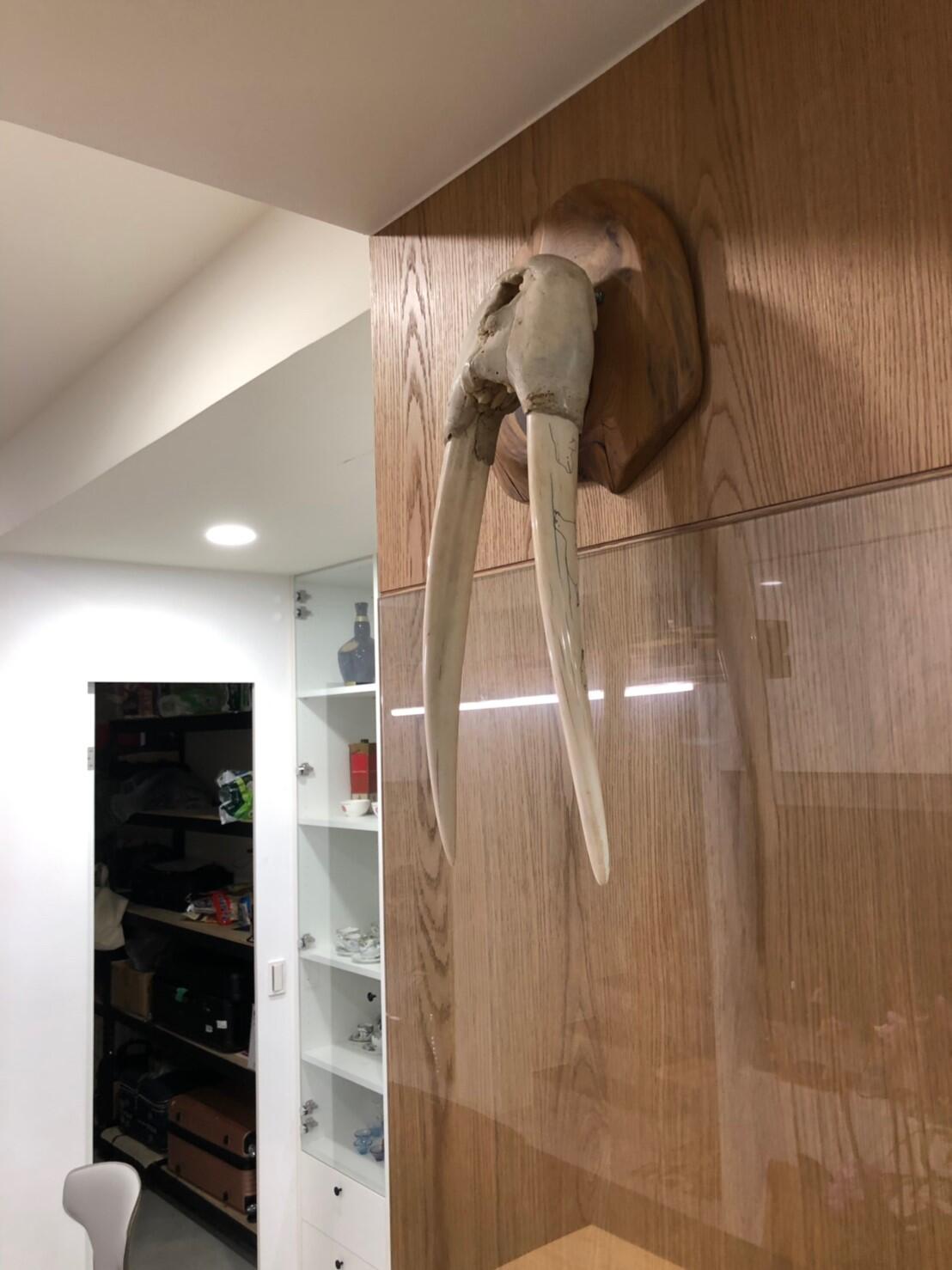 石頭座/雕像座/水晶座 石頭座/雕像座/水晶座